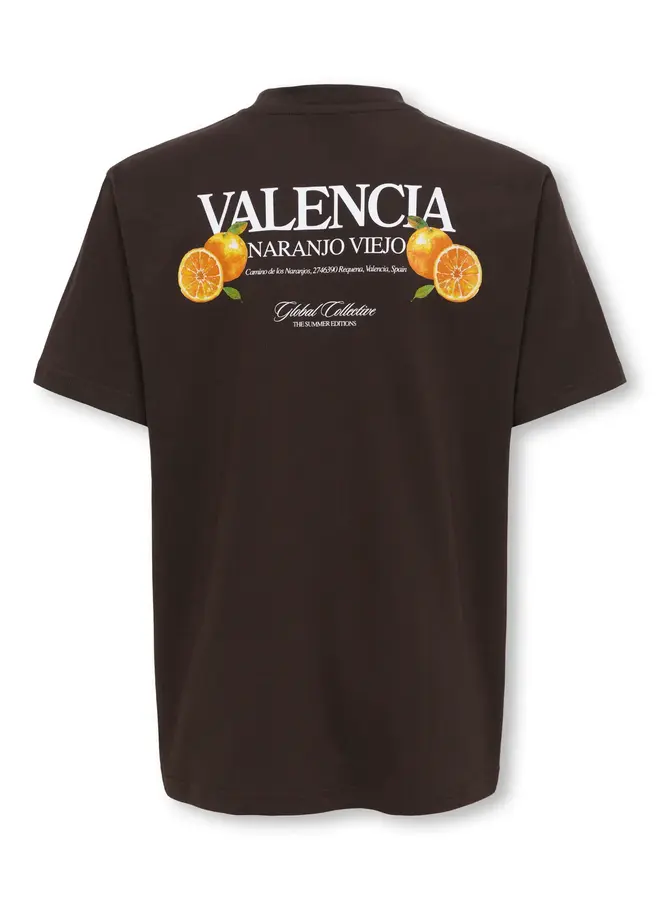 ONLY & SONS Junior - Tasty relax ss tee – Black Coffee / Valencia