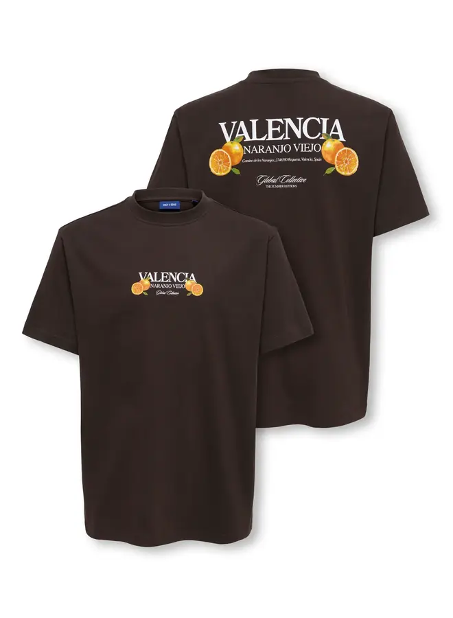 ONLY & SONS Junior - Tasty relax ss tee – Black Coffee / Valencia