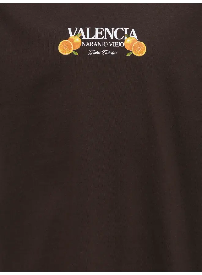 Kids Only - Tasty relax ss tee – Black Coffee / Valencia