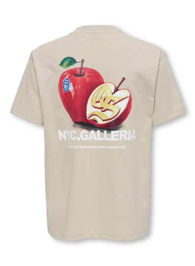 ONLY & SONS Junior - Tasty relax ss tee – Silver lining / NYC galleria