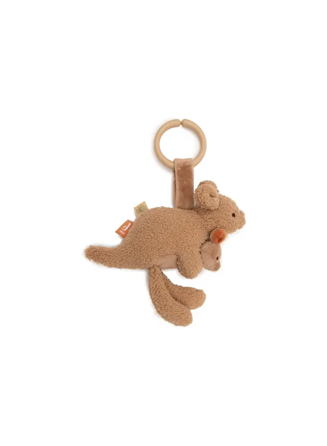 Jollein - Wagenhanger - Kangaroots