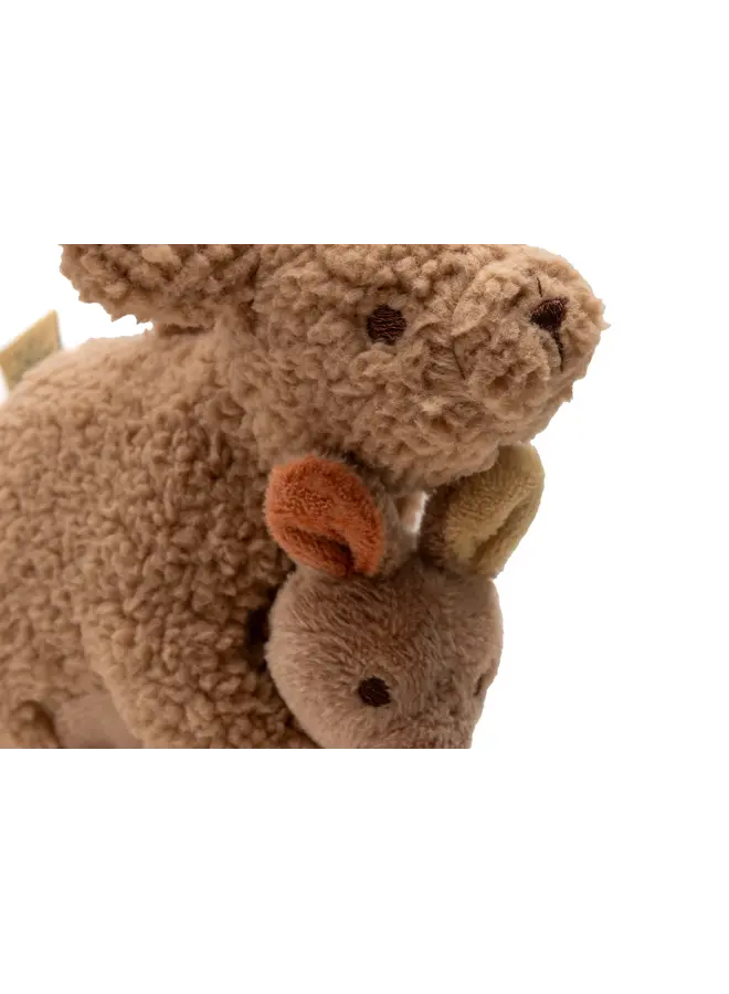 Jollein - Wagenhanger - Kangaroots