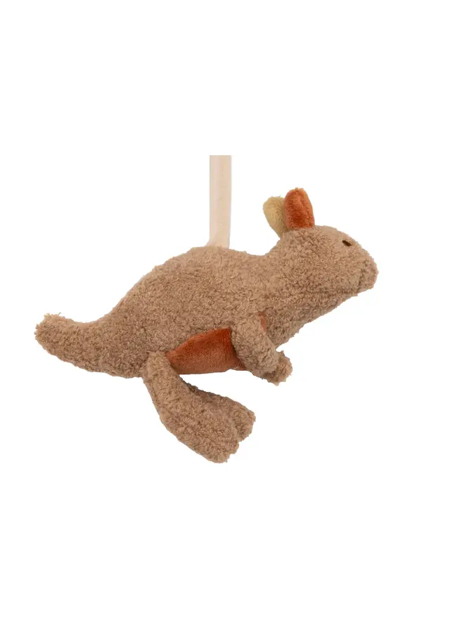 Jollein - Activiteitenspiraal - Kangaroots