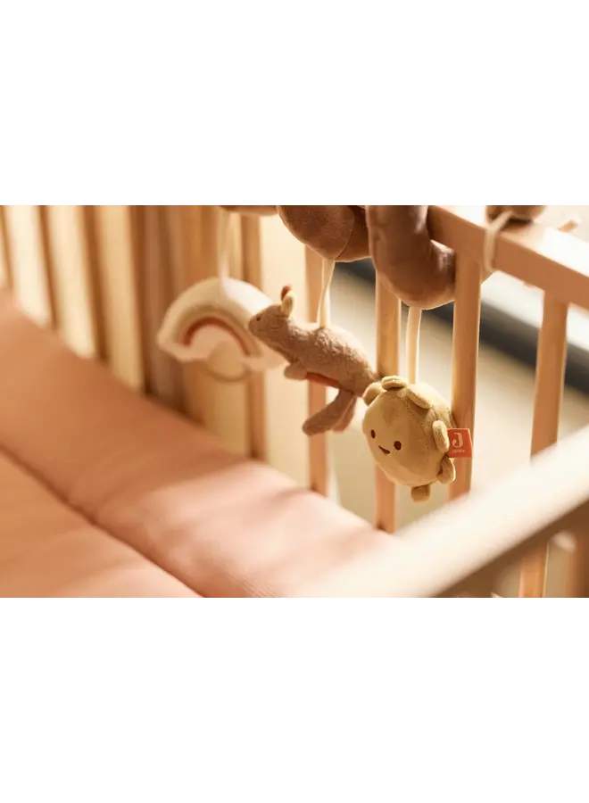 Jollein - Activiteitenspiraal - Kangaroots