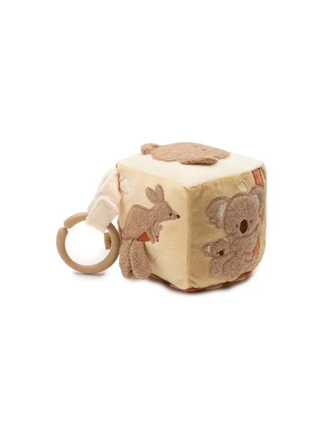 Activiteitenkubus - Kangaroots