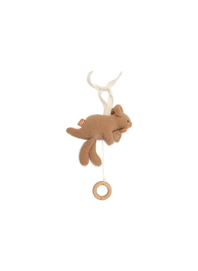 Jollein - Muziekhanger - Kangaroots