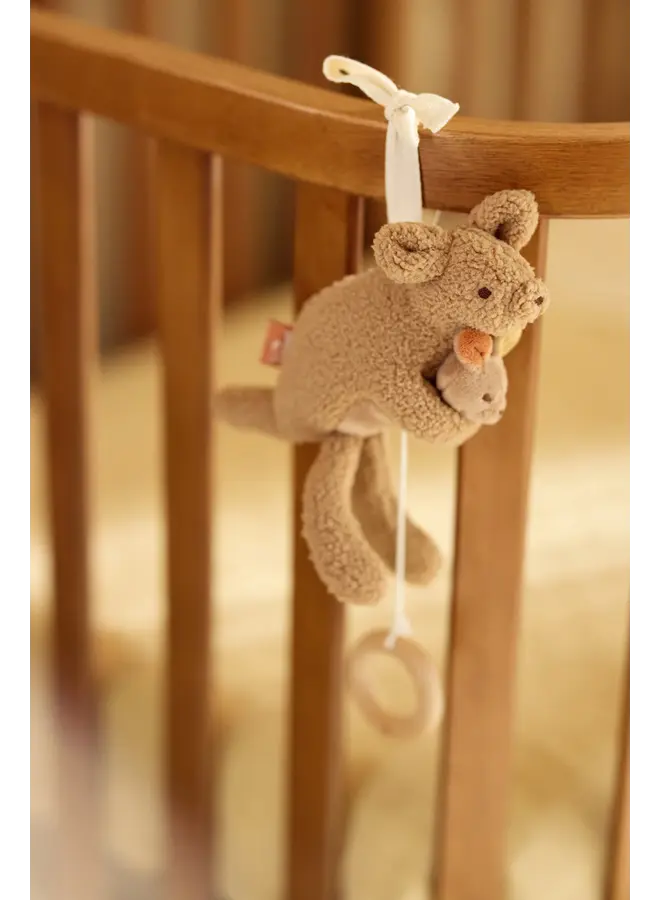 Jollein - Muziekhanger - Kangaroots