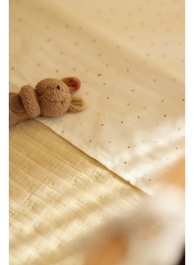 Jollein - Rammelaar - Kangaroots