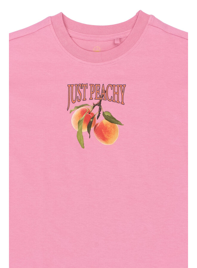 The New - Tenna oversized tee - Cashmere rose