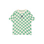 The New - Tiago oversized tee - Créme de menthe check