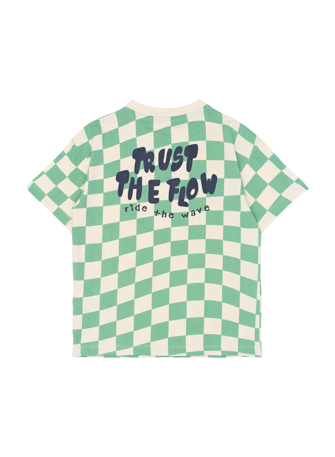 The New - Tiago oversized tee - Créme de menthe check