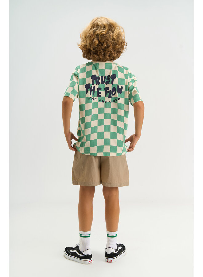 The New - Tiago oversized tee - Créme de menthe check