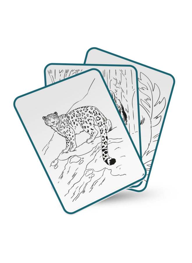 Kidywolf - Kidydraw-pad tekentablet - Animals