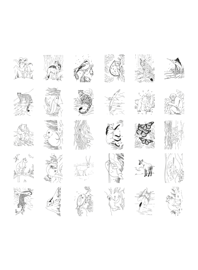 Kidywolf - Kidydraw-pad tekentablet - Animals