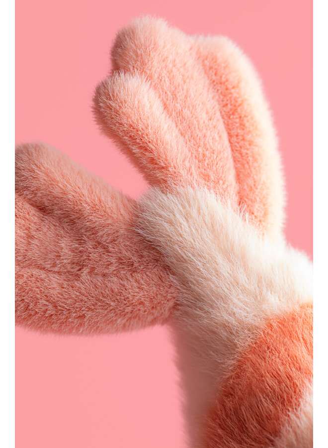 Jellycat - Fancy carp