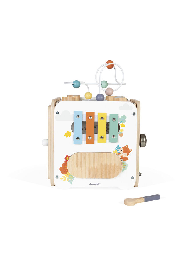 Janod - 5142 Pure - Activiteitenkubus maxi