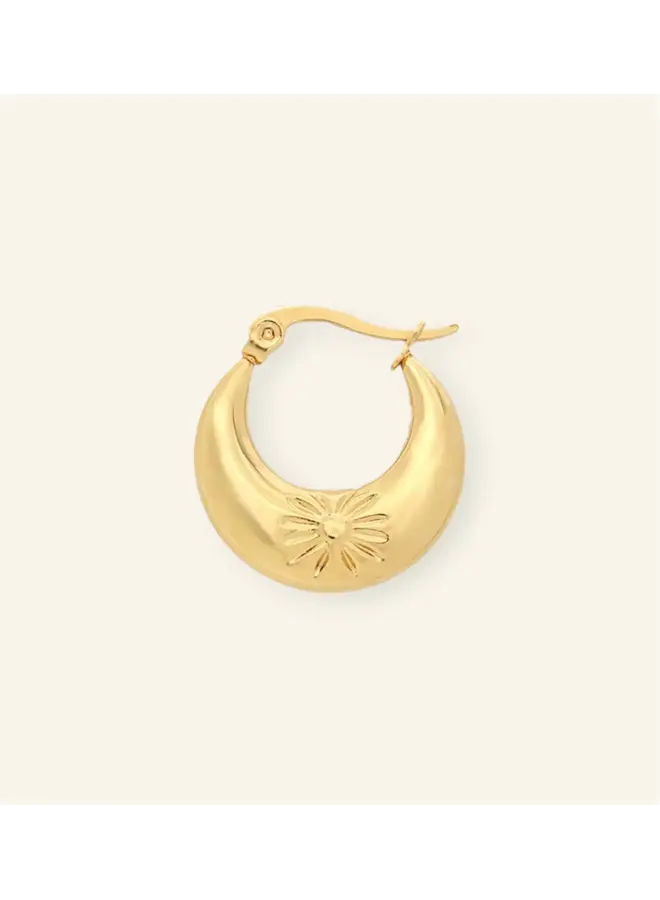 Sunny hoop