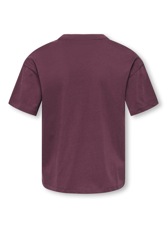 Kids Only - Billy ss relax print tee - Fudge paws