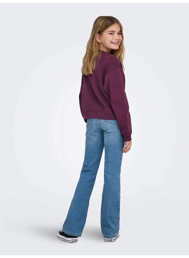 Kids Only - Sweat ls crew - Mauve wine Los Angeles California