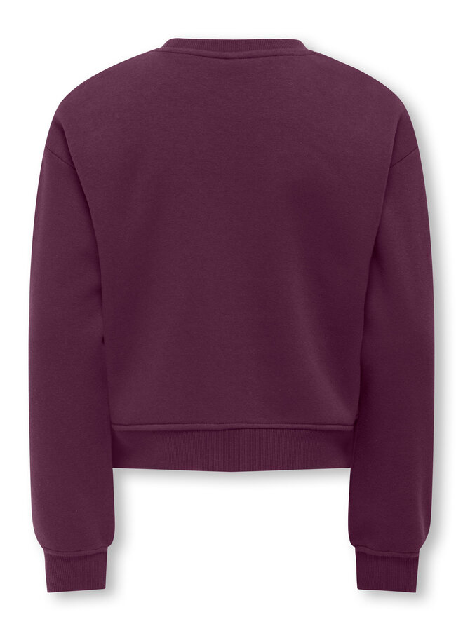 Kids Only - Sweat ls crew - Mauve wine Los Angeles California
