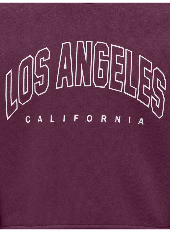 Kids Only - Sweat ls crew - Mauve wine Los Angeles California