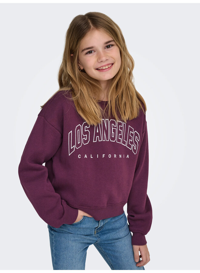Kids Only - Sweat ls crew - Mauve wine Los Angeles California