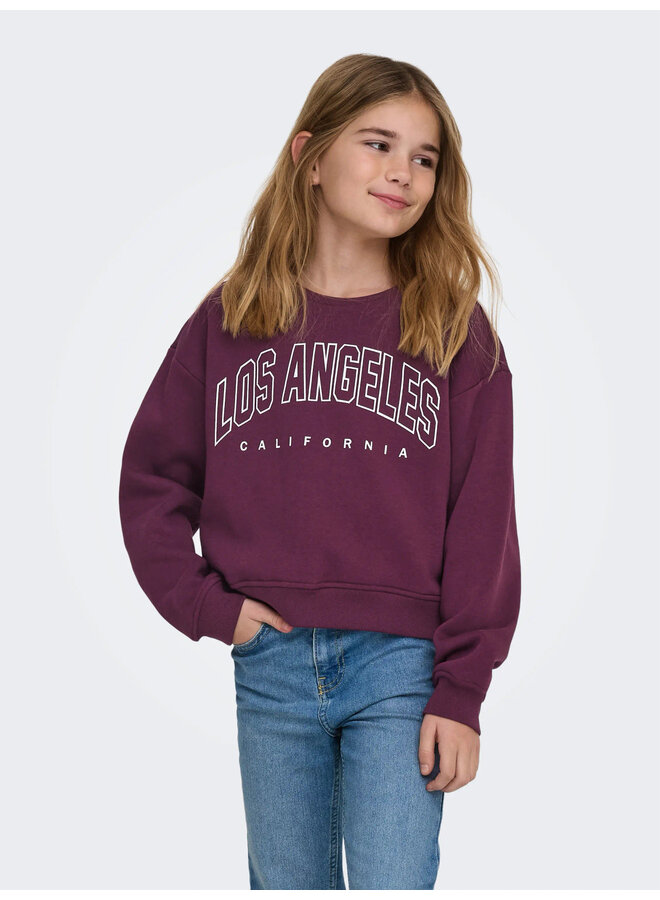 Kids Only - Sweat ls crew - Mauve wine Los Angeles California
