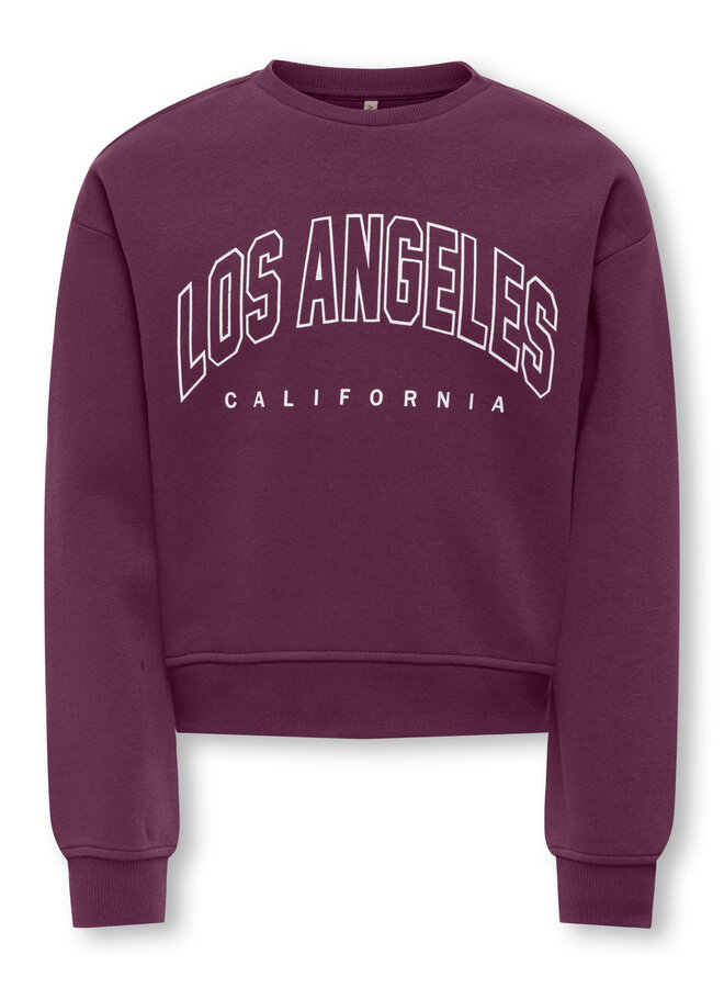 Kids Only - Sweat ls crew - Mauve wine Los Angeles California
