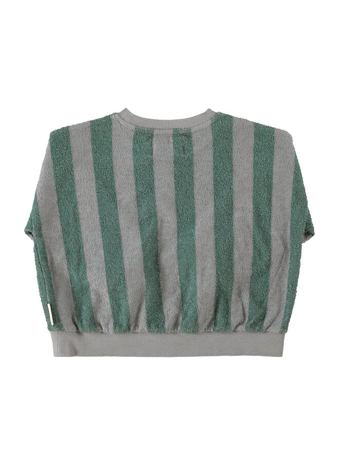 Piupiuchick - Sweatshirt - Grey & green stripes