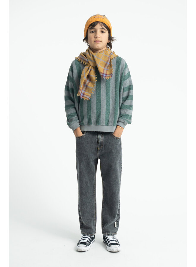 Piupiuchick - Sweatshirt - Grey & green stripes