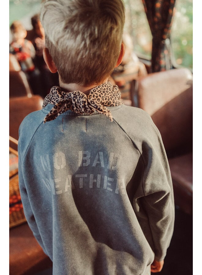 Piupiuchick - Sweatshirt - Grey w/ sun & cloud print