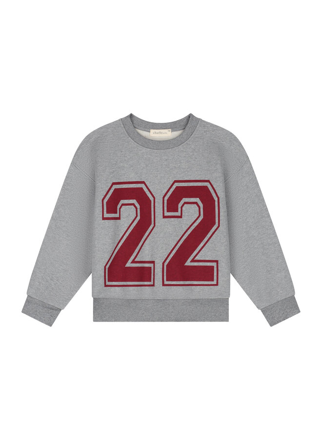 Charlie Petite - Jones sweater - Grey melange