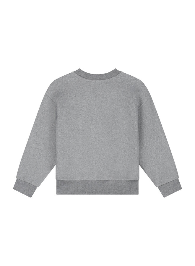 Charlie Petite - Jones sweater - Grey melange