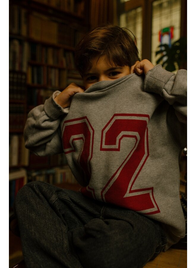 Charlie Petite - Jones sweater - Grey melange