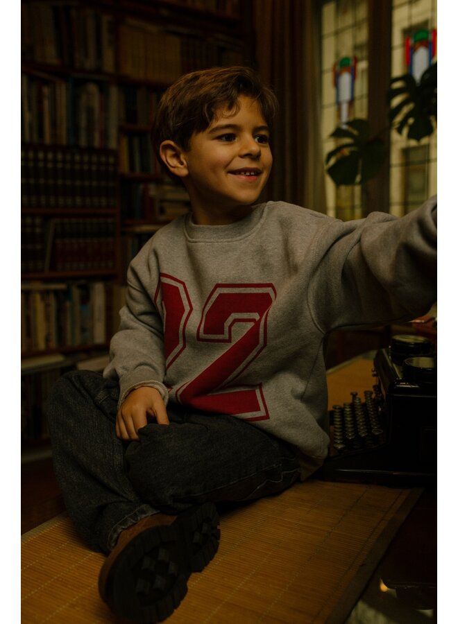 Charlie Petite - Jones sweater - Grey melange