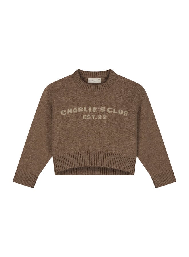 Charlie Petite - Joan sweater - Light brown
