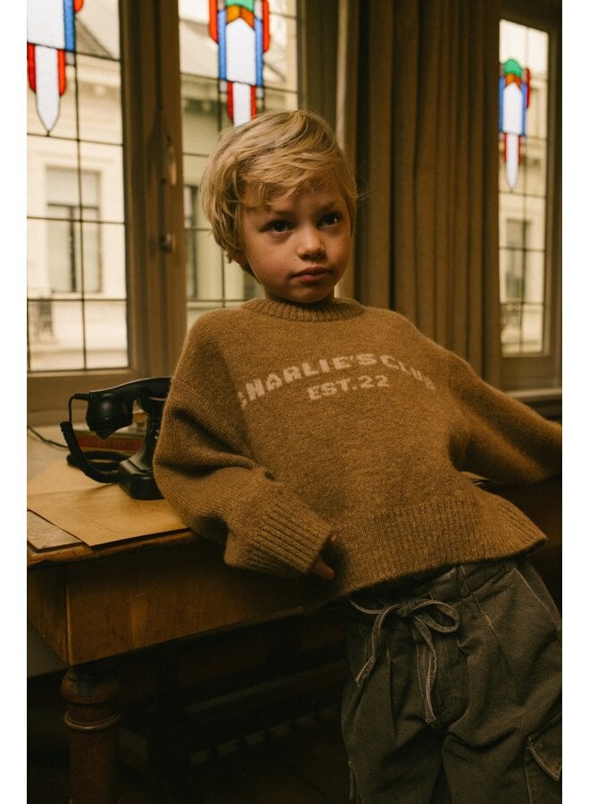 Charlie Petite - Joan sweater - Light brown
