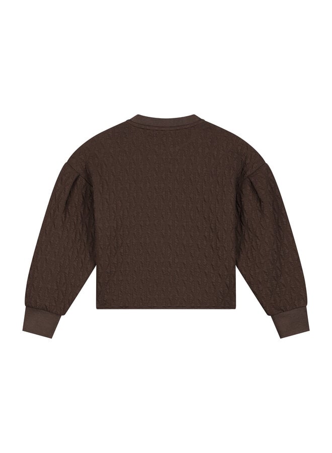 Charlie Petite - Sien sweater - Dark brown