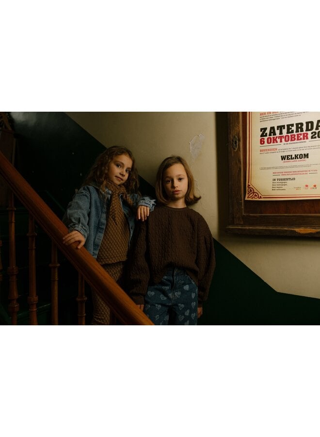 Charlie Petite - Sien sweater - Dark brown