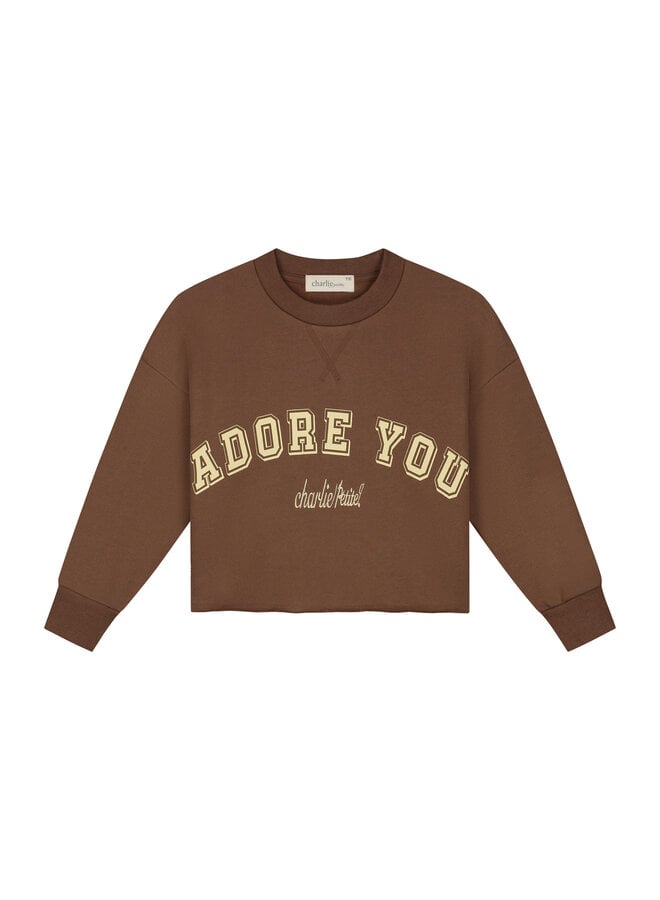 Charlie Petite - Lux sweater - Brown