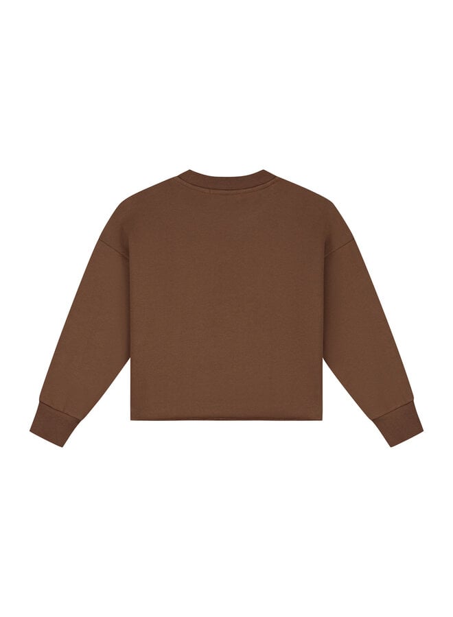 Charlie Petite - Lux sweater - Brown