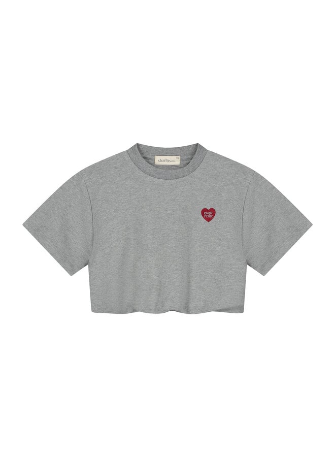 Charlie Petite - Sanne t-shirt - Grey melange