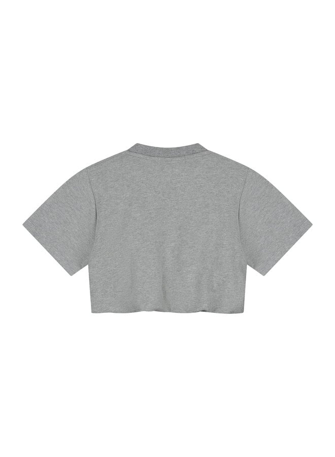 Charlie Petite - Sanne t-shirt - Grey melange
