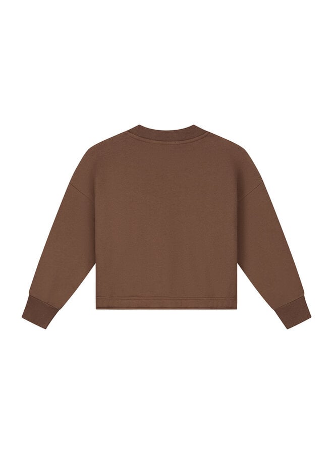 Charlie Petite - Sara sweater - Brown