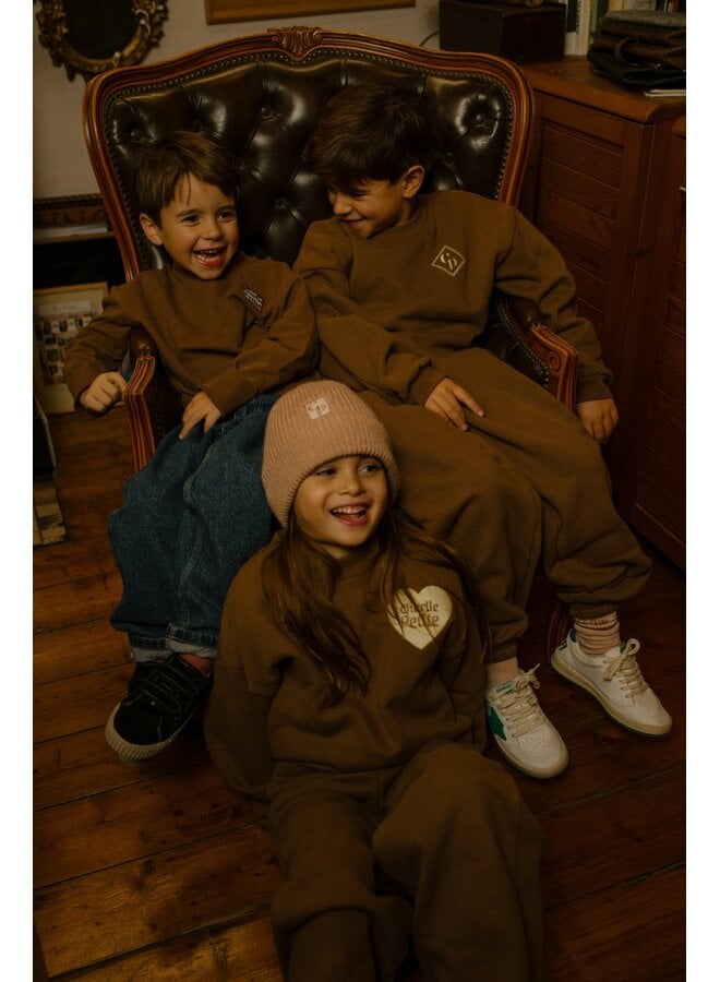Charlie Petite - Sara sweater - Brown