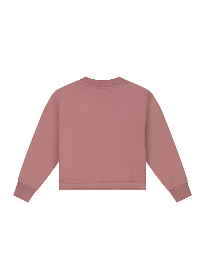 Charlie Petite - Sara sweater - Pink