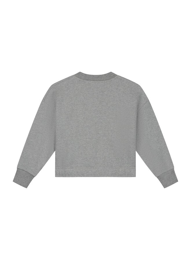 Charlie Petite - Sara sweater - Grey melange
