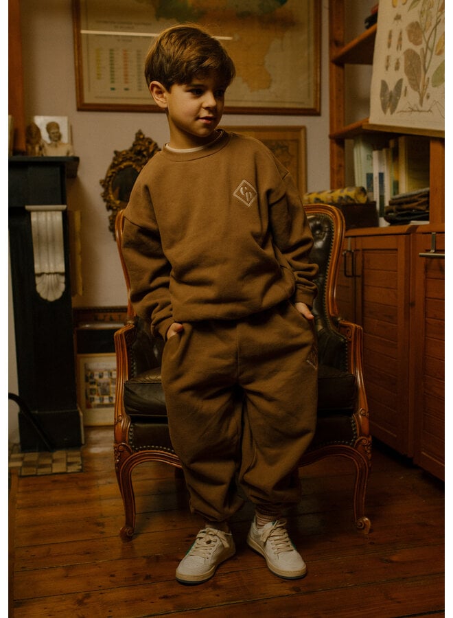 Charlie Petite - Pepe sweater - Brown