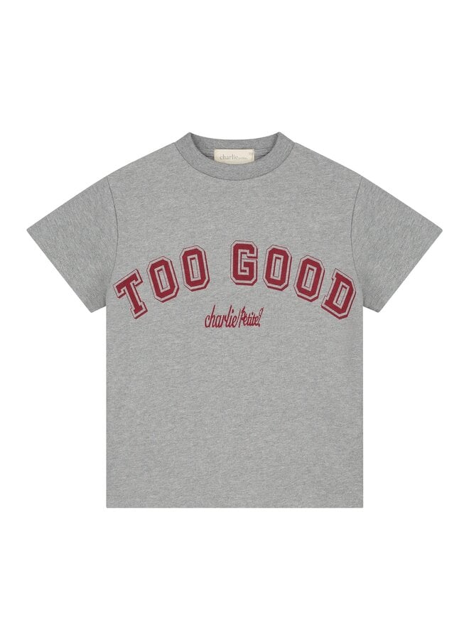 Jovi t-shirt - Grey melange