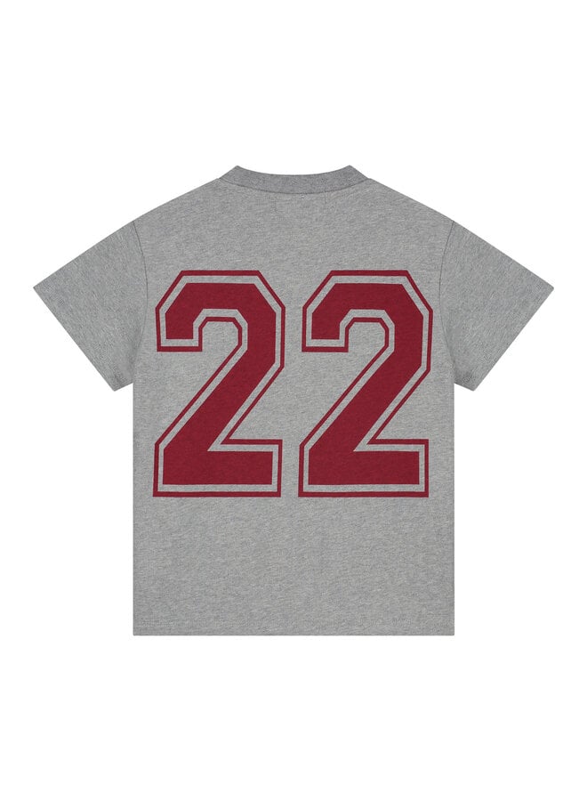 Charlie Petite - Jovi t-shirt - Grey melange